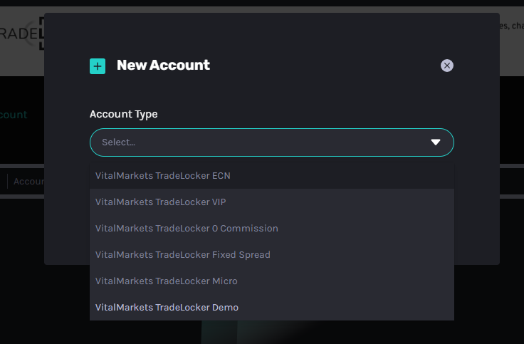 Review of Vital Markets’ User Account — Account verification