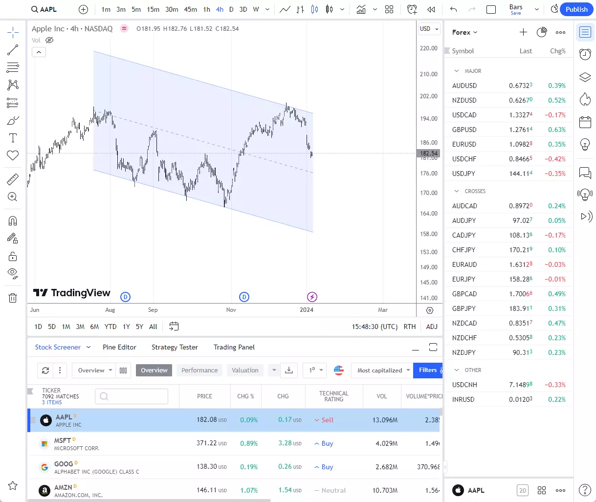 This is how the TradingView platform looks like