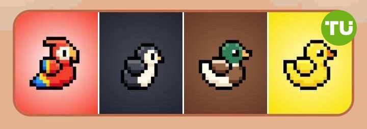 Daily combo for today