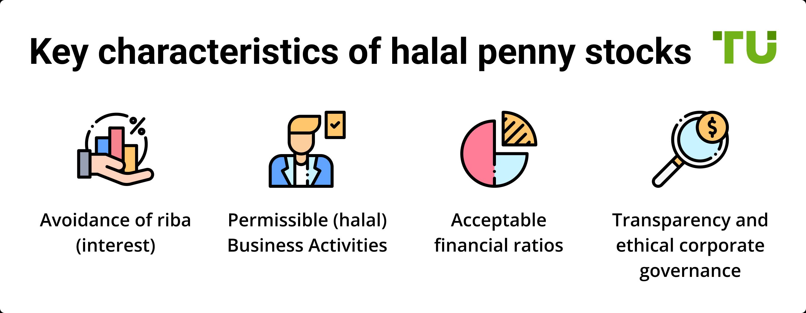 Key characteristics of halal penny stocks