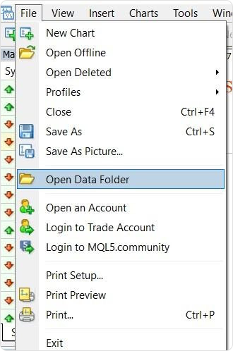Then press File and select Open Data Folder.