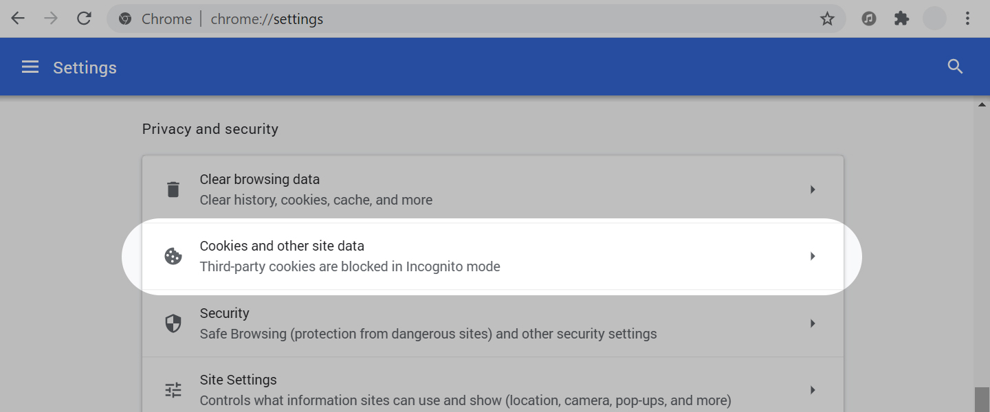 Google Chrome - Privacy and Security
