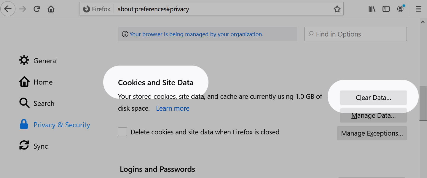 Mozilla Firefox - Cookies and Site Data