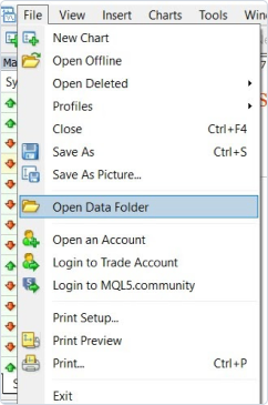 Open Data Folder from the drop-down list