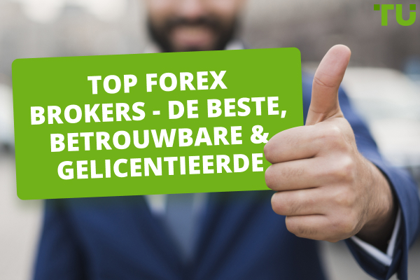 Top Forex Brokers voor 2024 - de Beste, Betrouwbare & Gelicentieerde