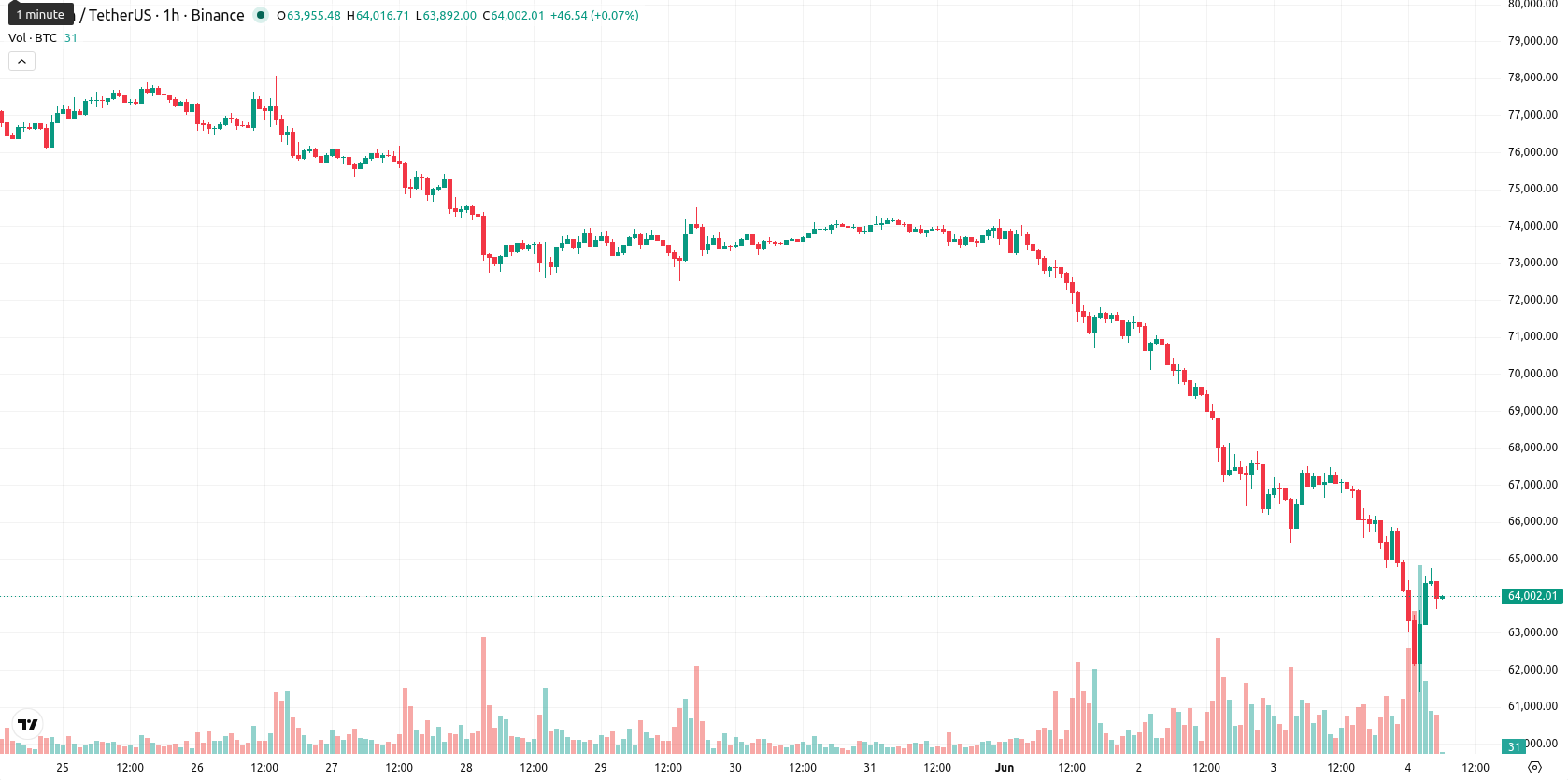 Bitcoin asset chart