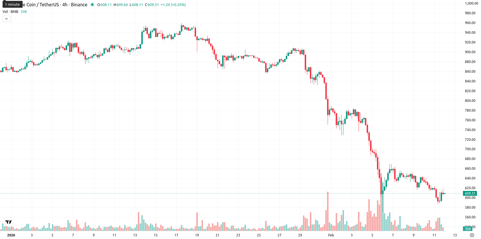 Binance Coin asset chart