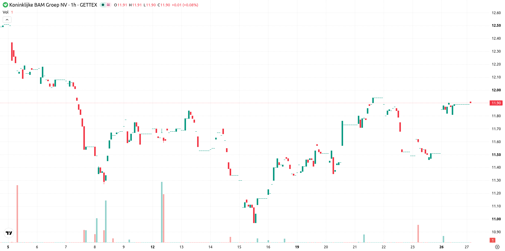 BAM Group N.V. asset chart