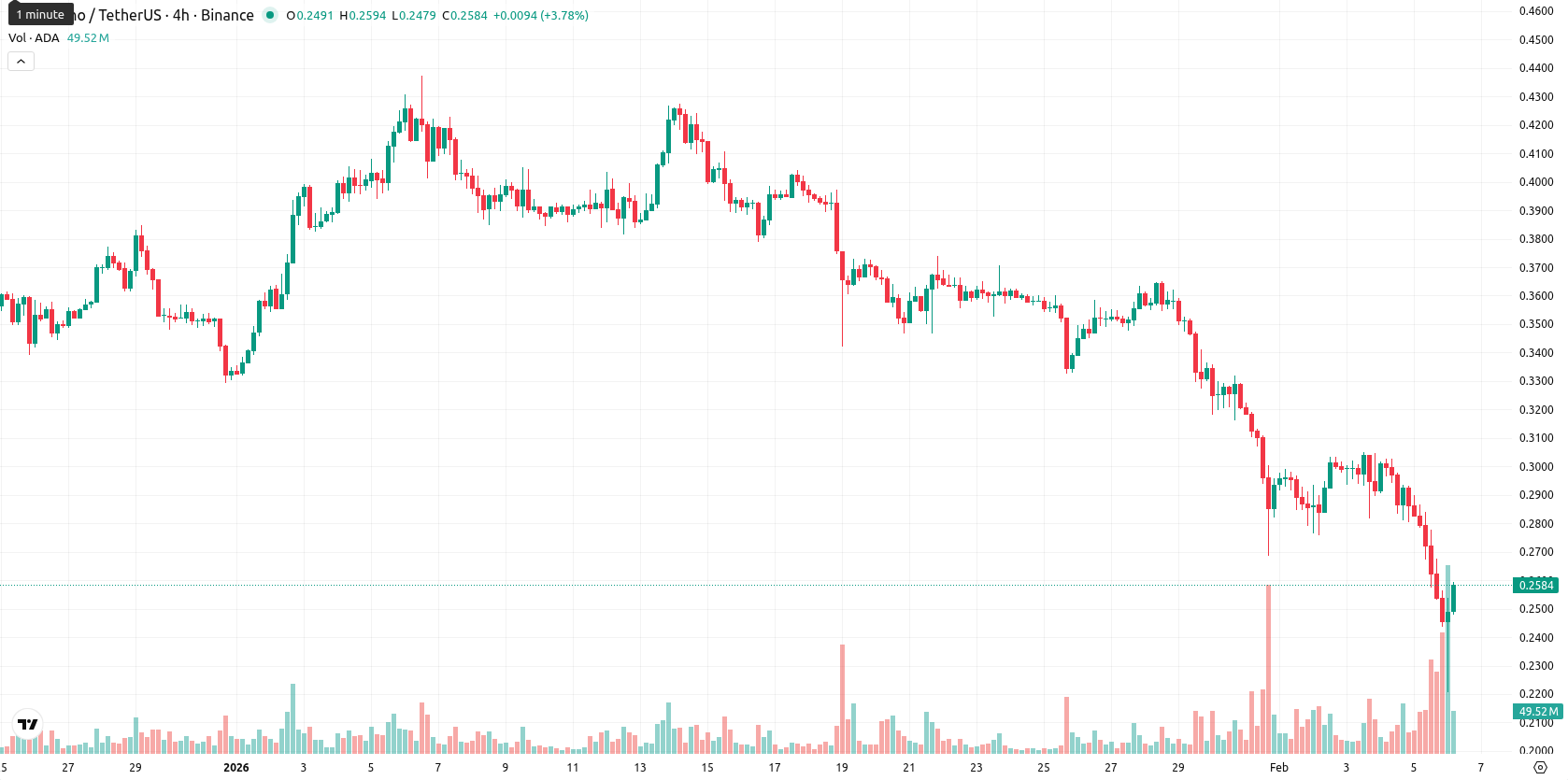 Cardano asset chart