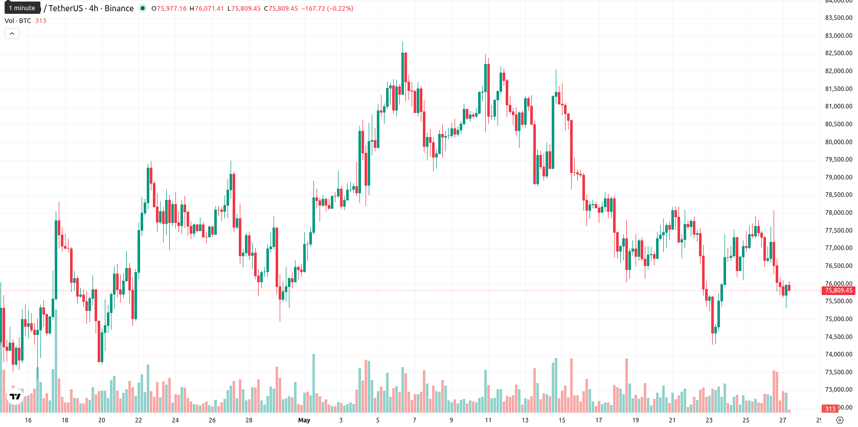 Bitcoin asset chart