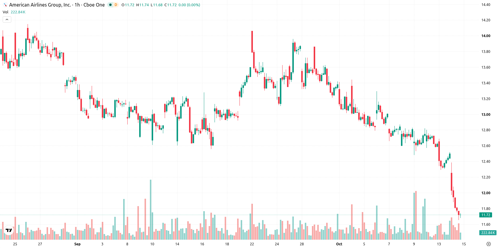 American Airlines Group Inc. asset chart
