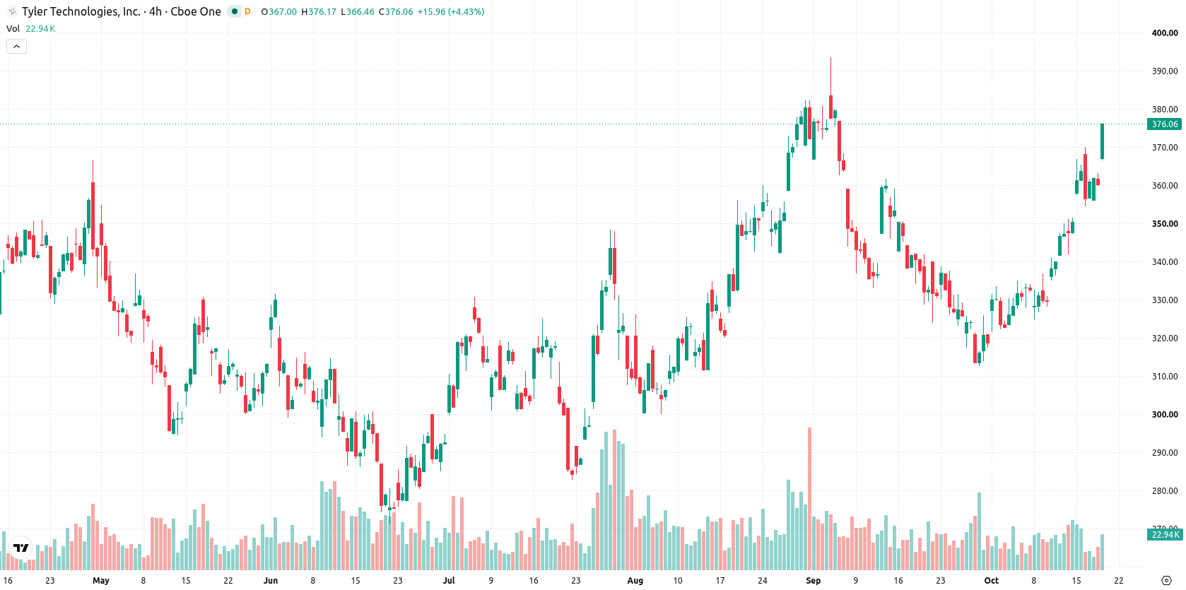 Tyler Technologies asset chart