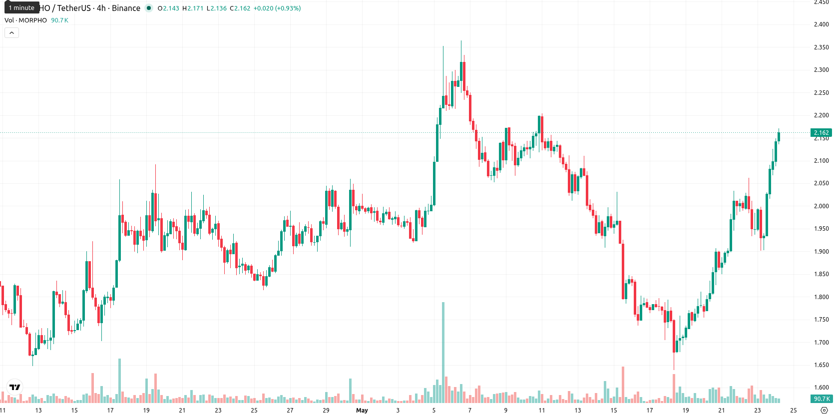 Morpho asset chart