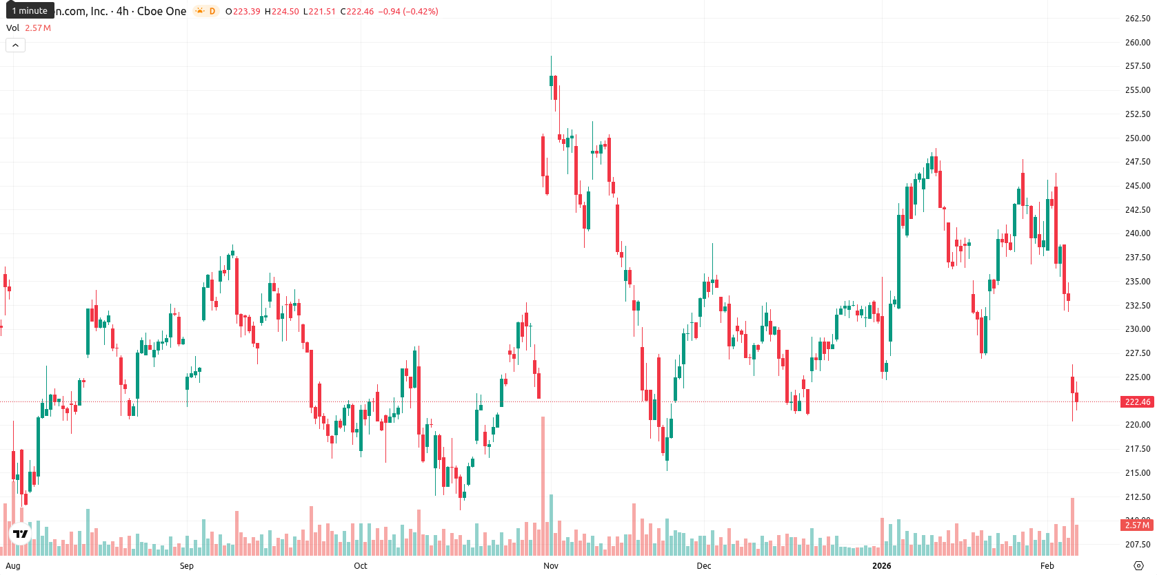 Amazon.com Inc asset chart