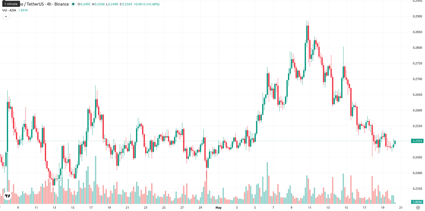 Cardano asset chart