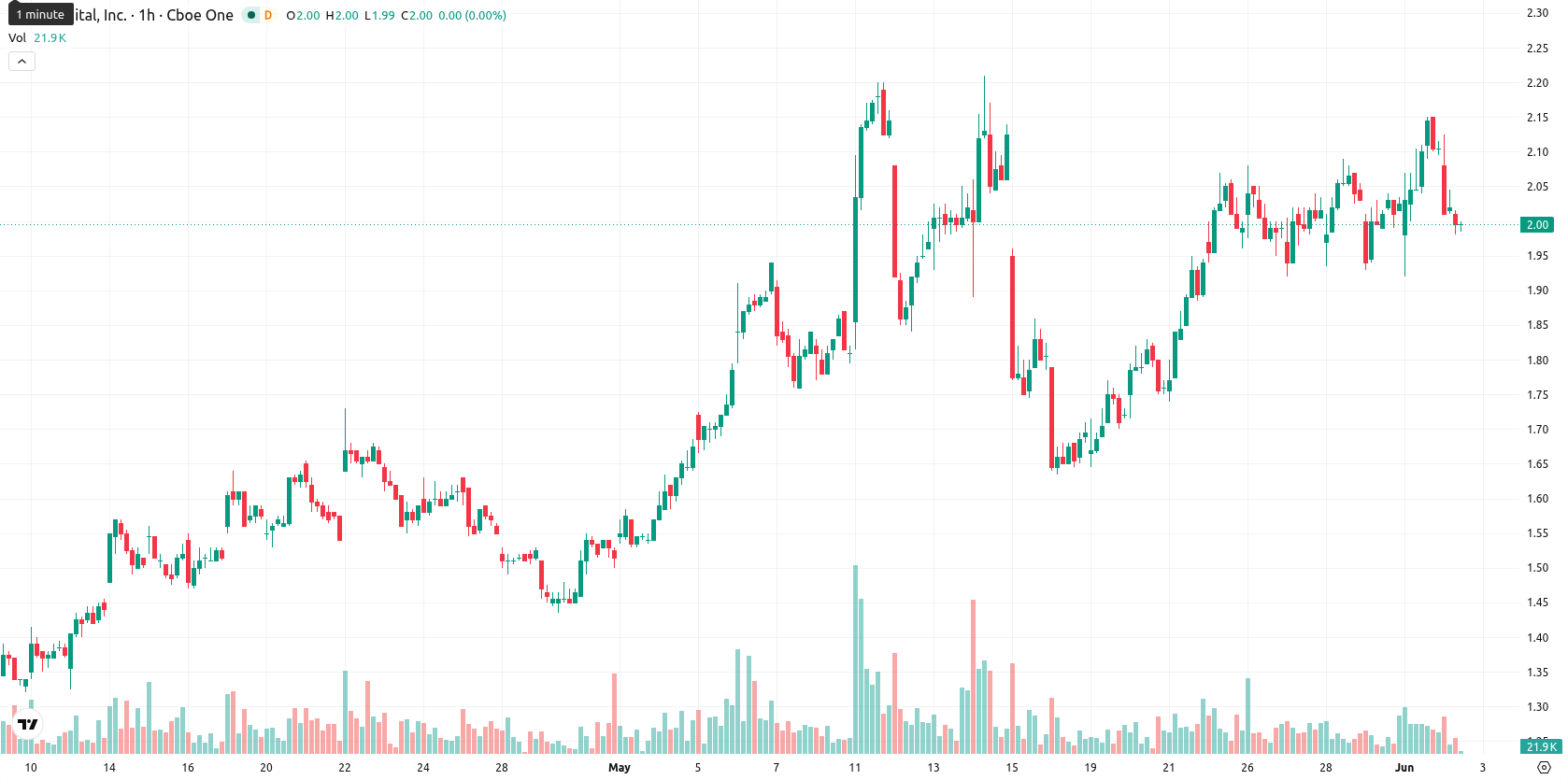 Bit Digital Inc. asset chart