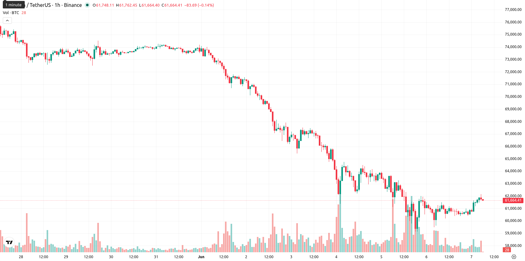 Bitcoin asset chart