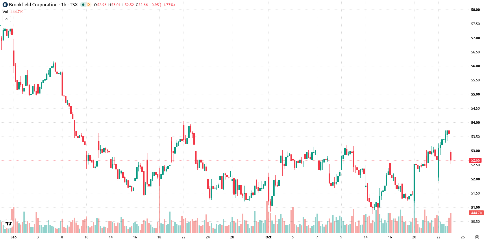 Brookfield Corporation asset chart