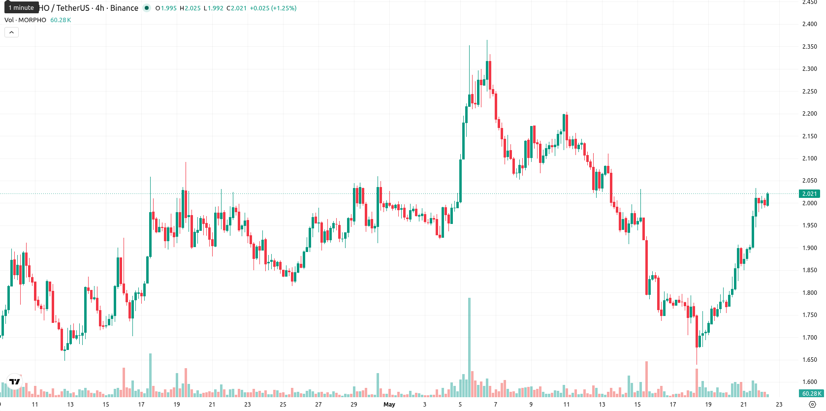 Morpho asset chart