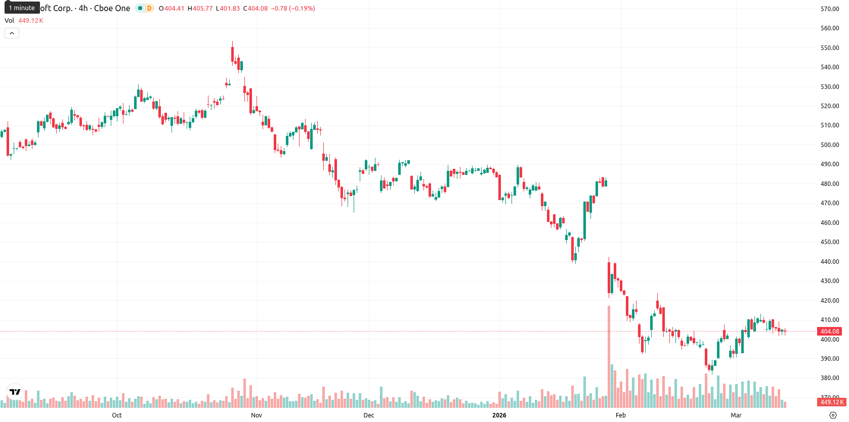 Microsoft Corp asset chart