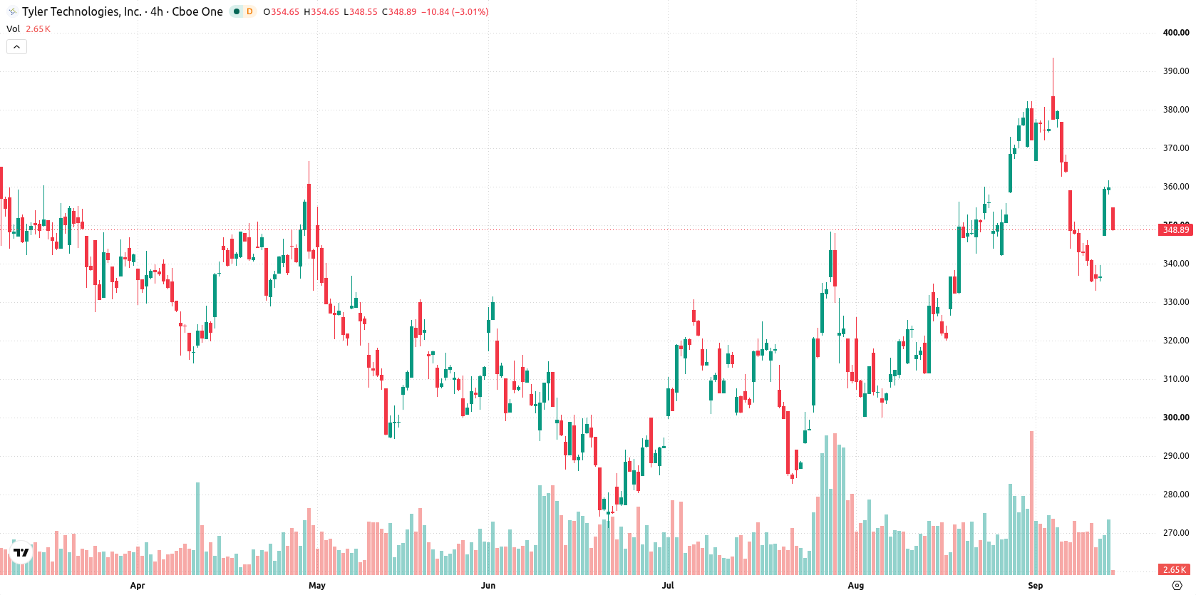 Tyler Technologies asset chart