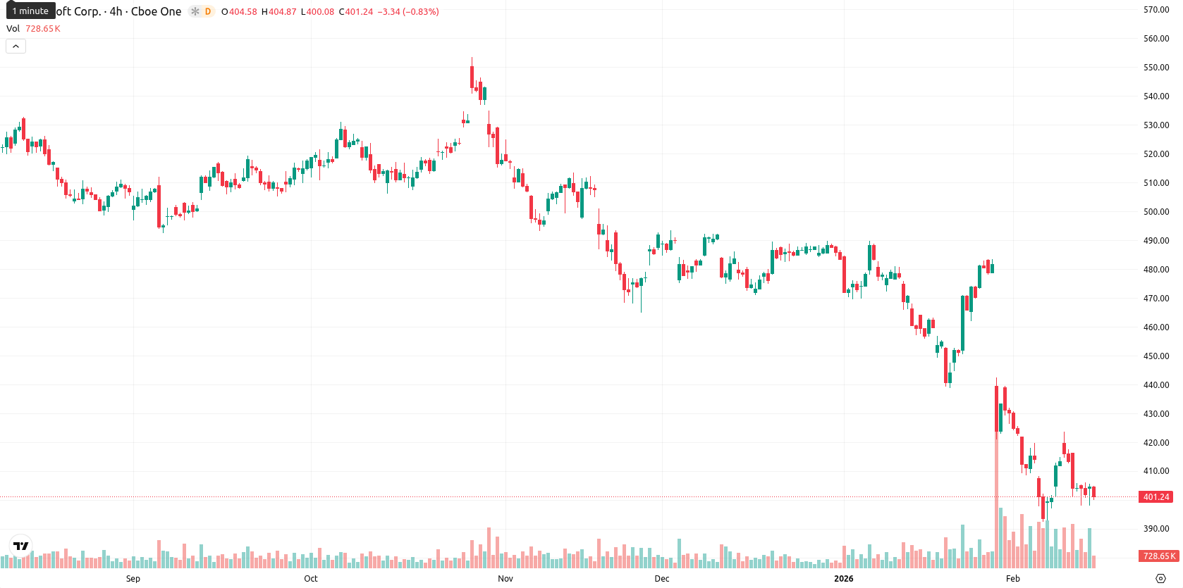 Microsoft Corp asset chart