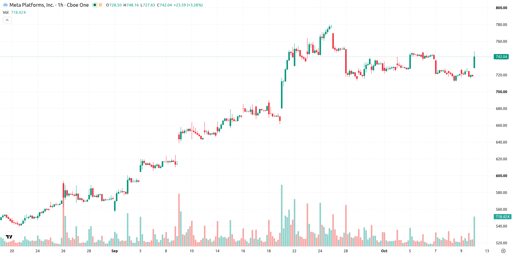 Meta Platforms Inc. asset chart