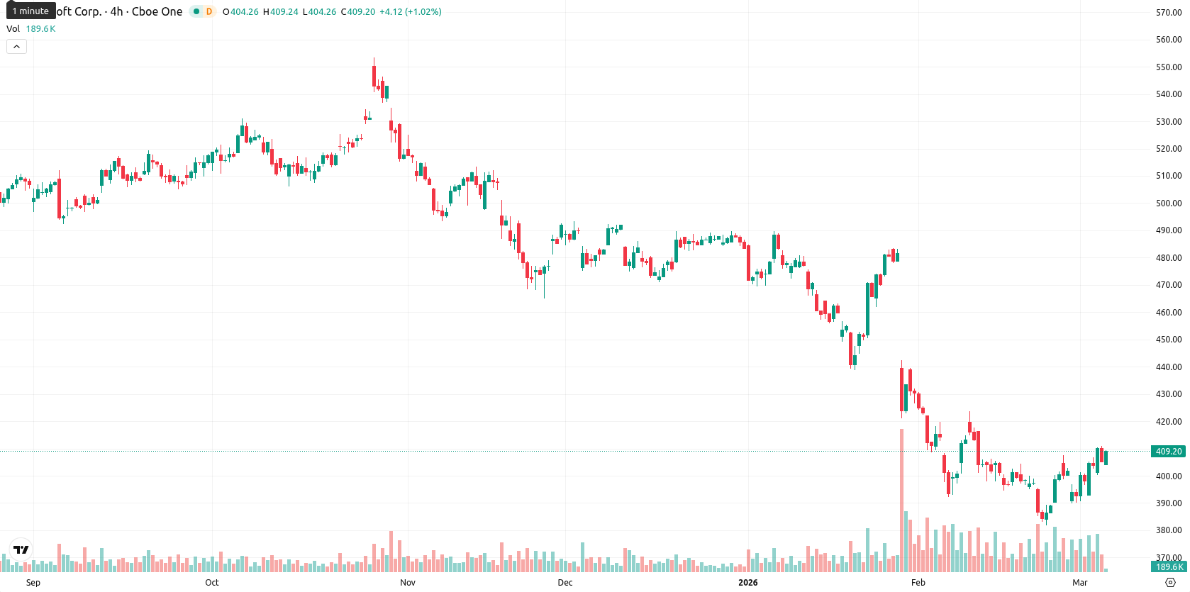 Microsoft Corp asset chart