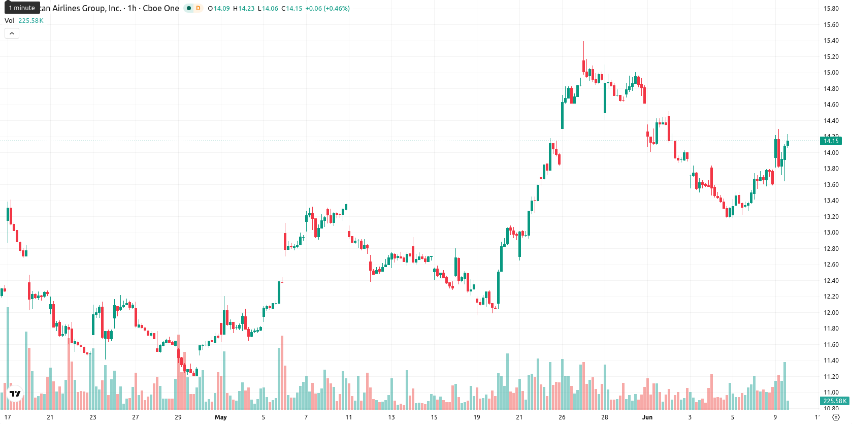 American Airlines Group Inc. asset chart