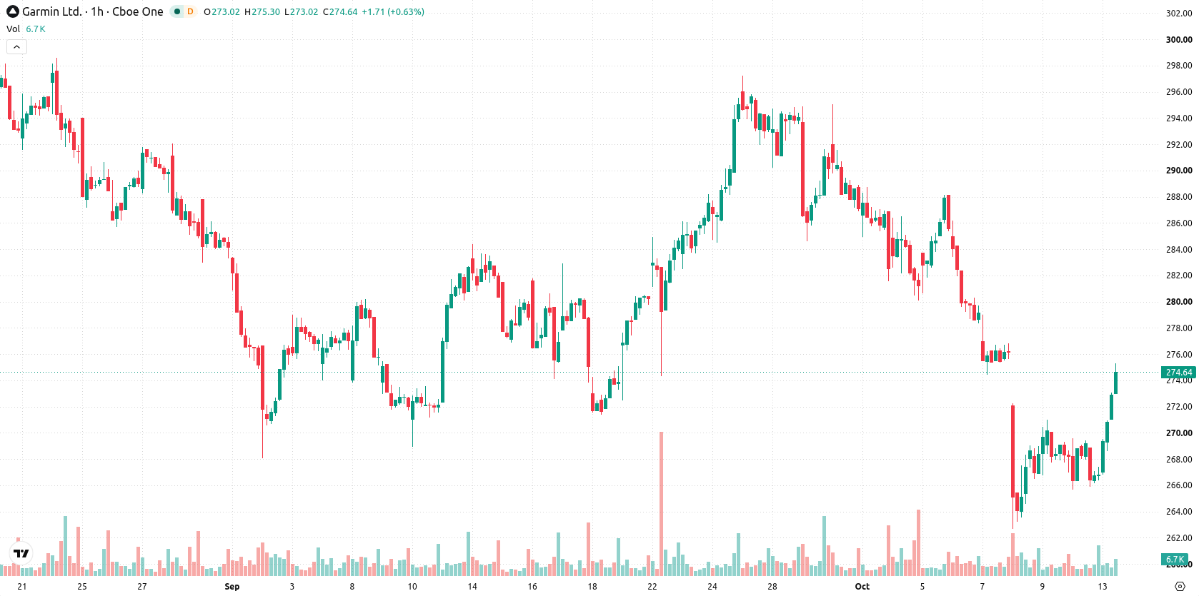 Garmin Ltd asset chart