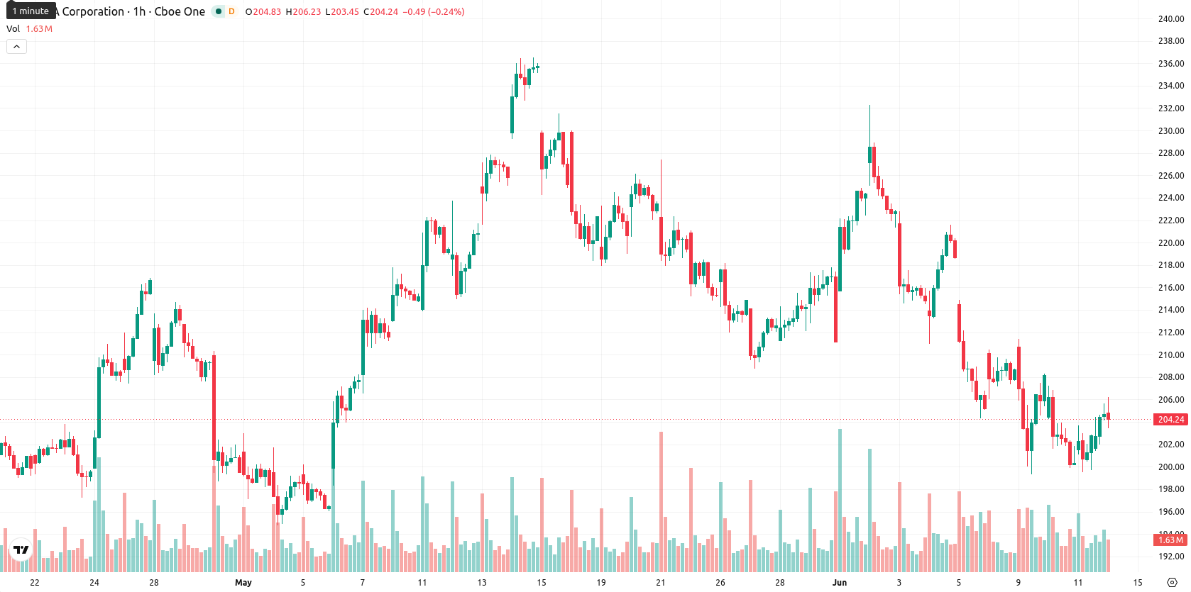Nvidia Corp asset chart