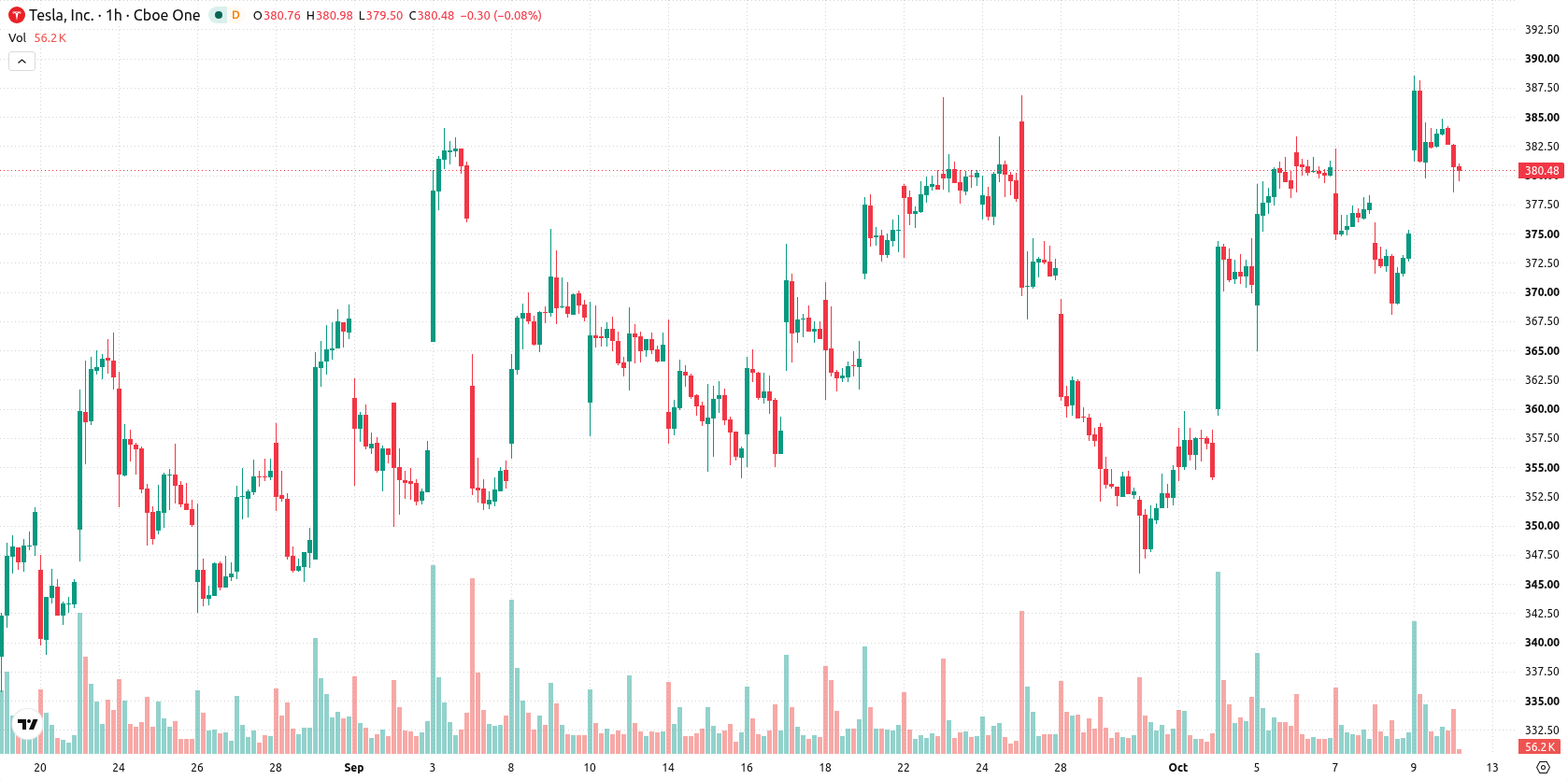 Tesla Inc. asset chart