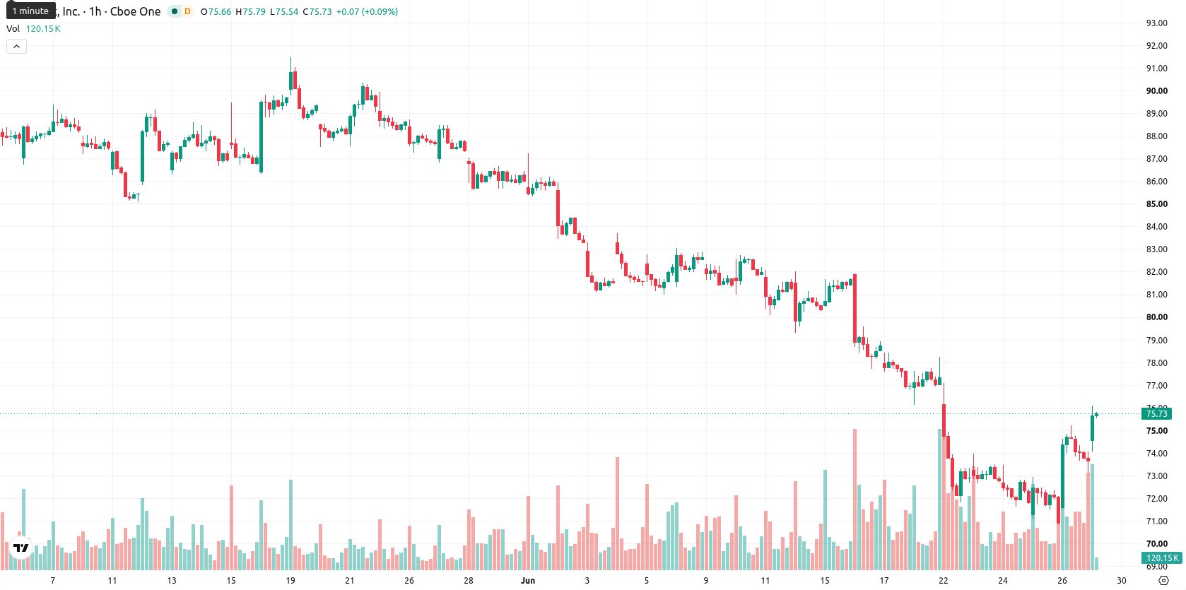 Netflix Inc asset chart