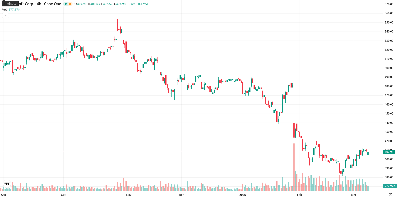 Microsoft Corp asset chart