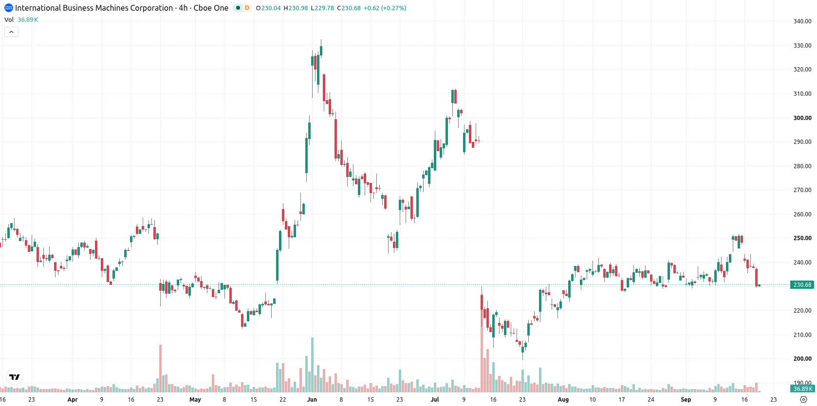 IBM asset chart