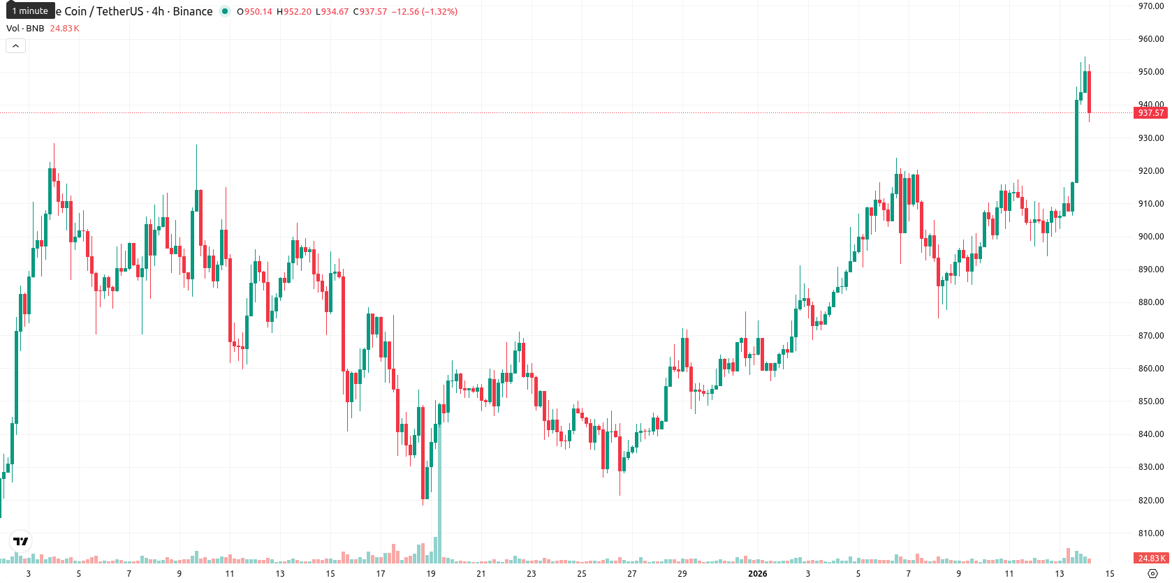 Binance Coin asset chart