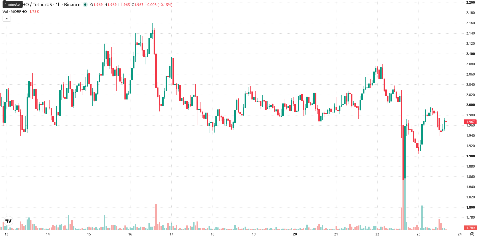 Morpho asset chart