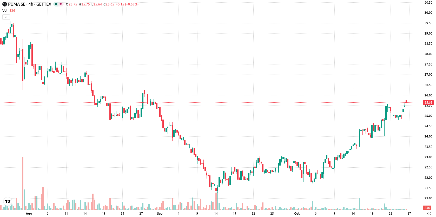 Puma SE asset chart