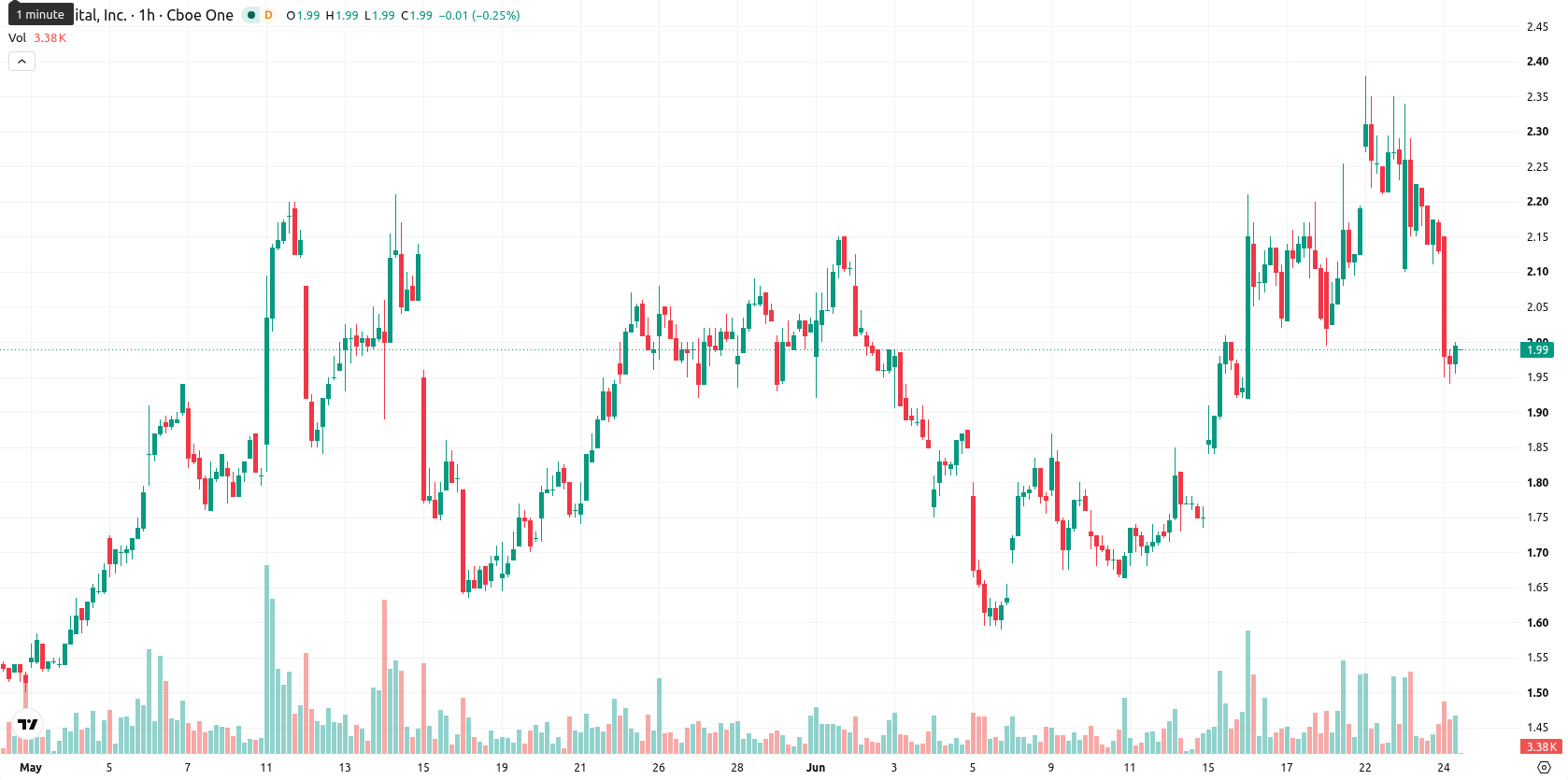 Bit Digital Inc. asset chart