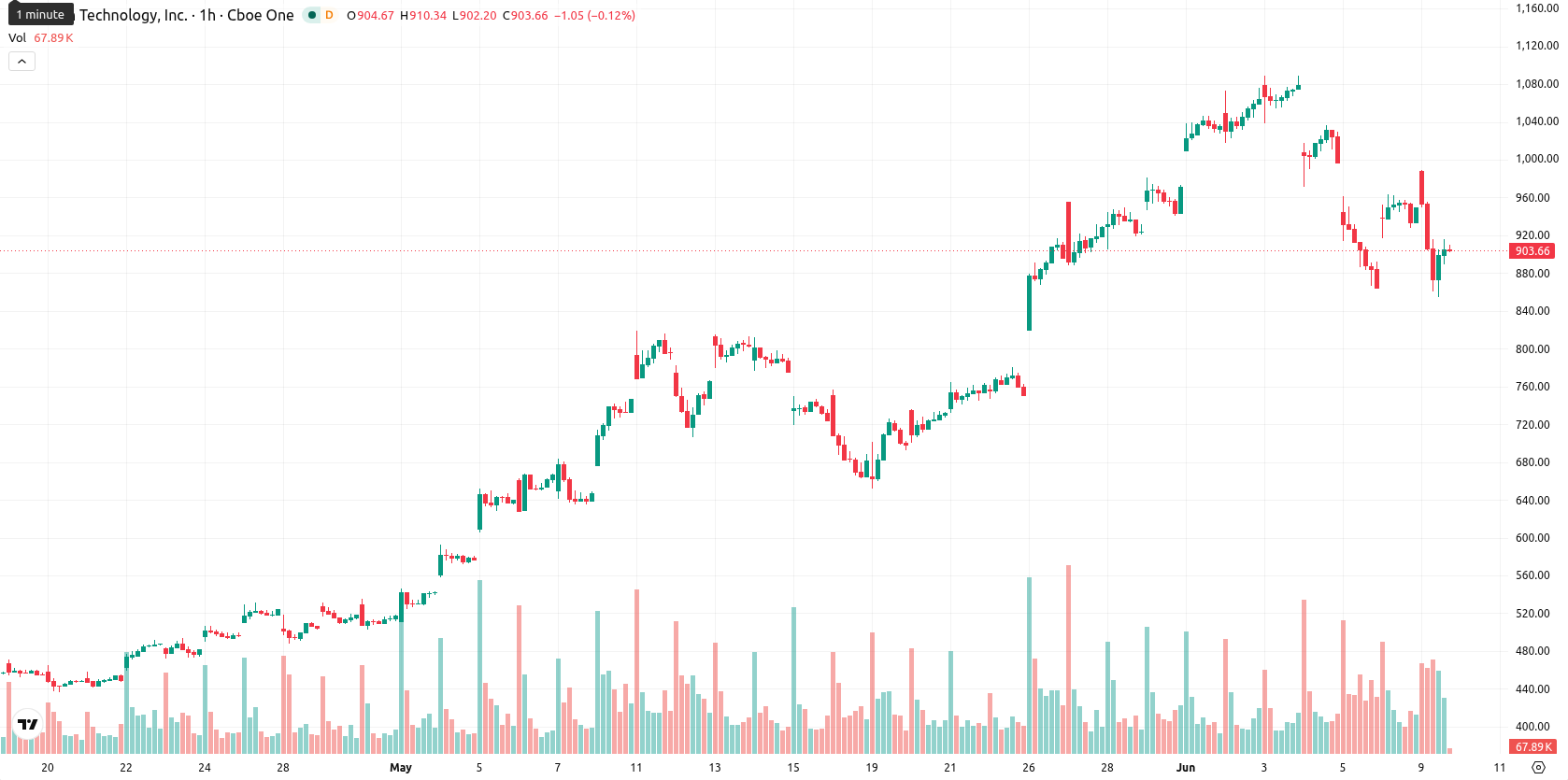 Micron Technology asset chart