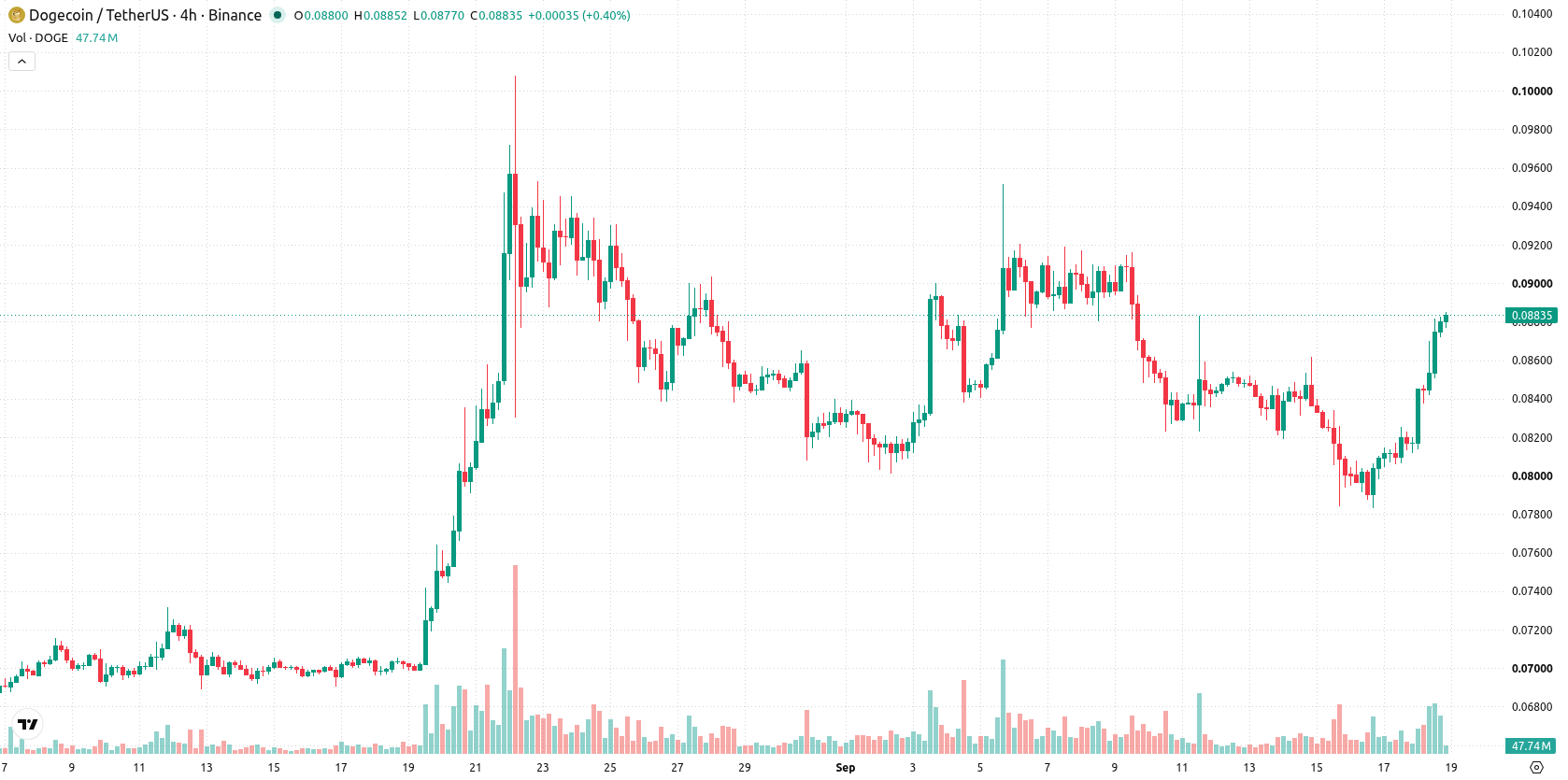 Dogecoin asset chart