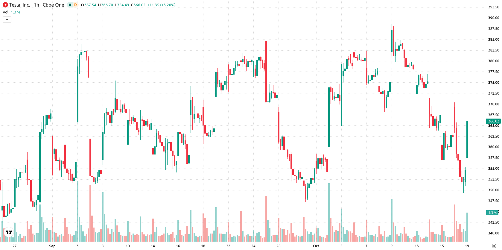 Tesla Inc. asset chart