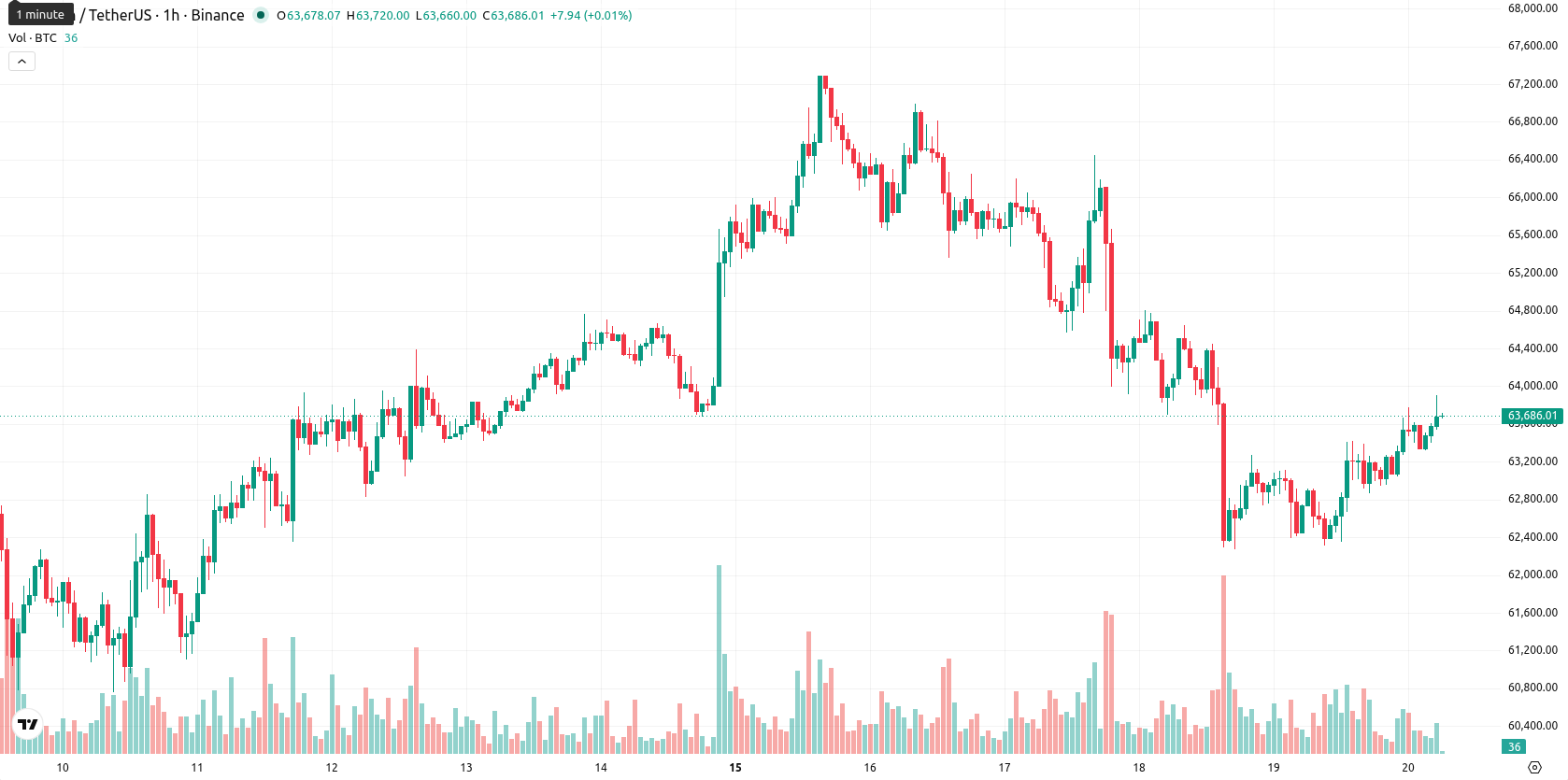 Bitcoin asset chart
