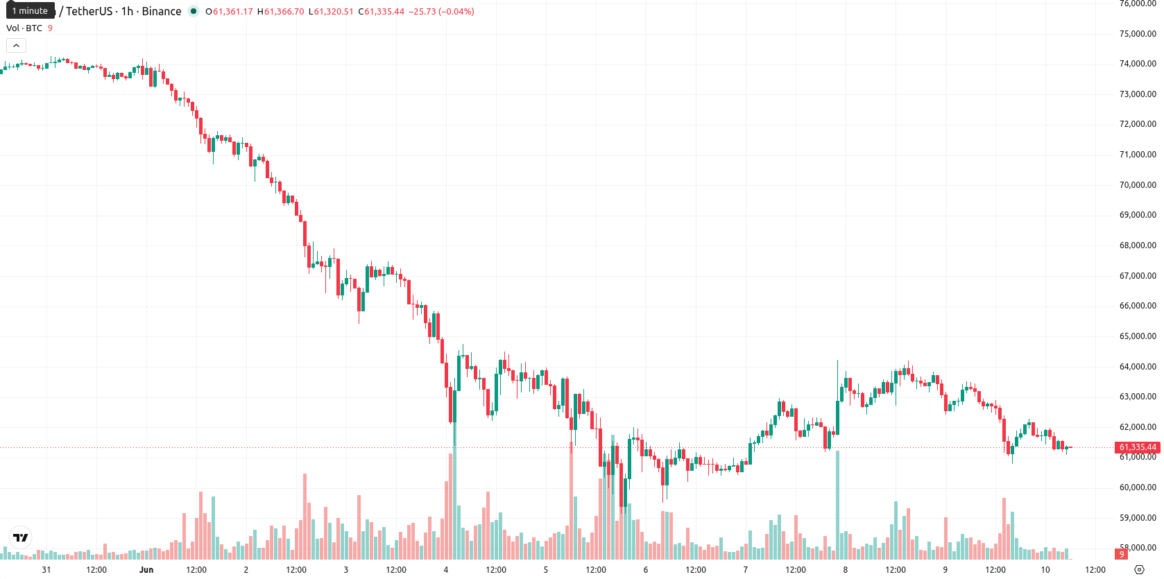 Bitcoin asset chart