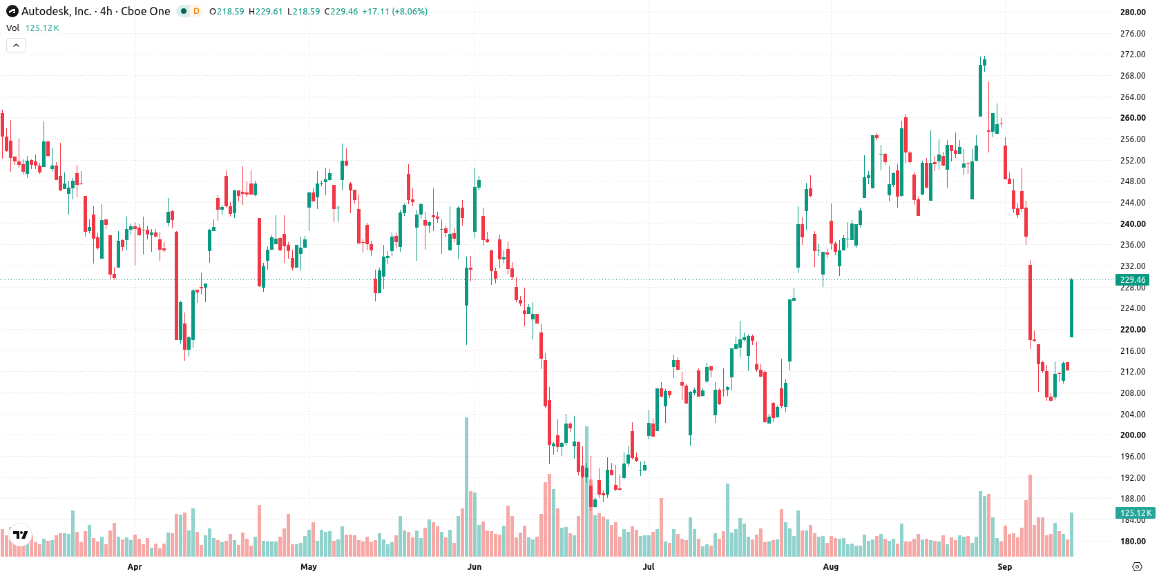 Autodesk Inc asset chart