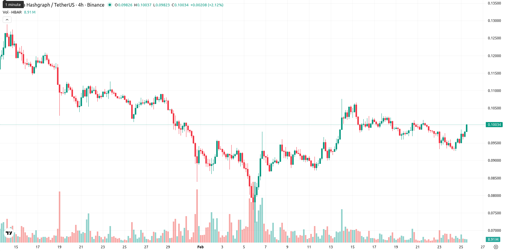 Hedera asset chart