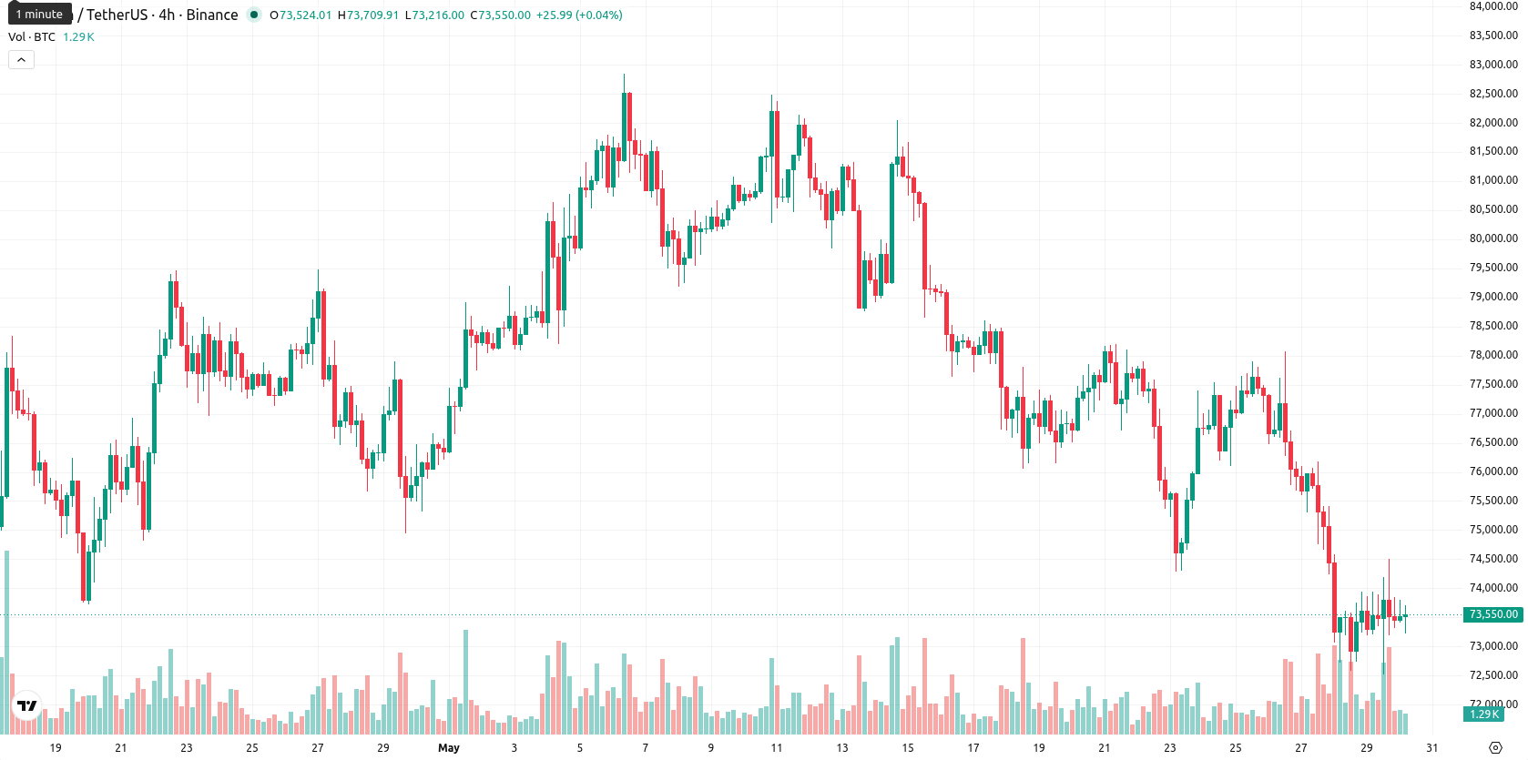 Bitcoin asset chart