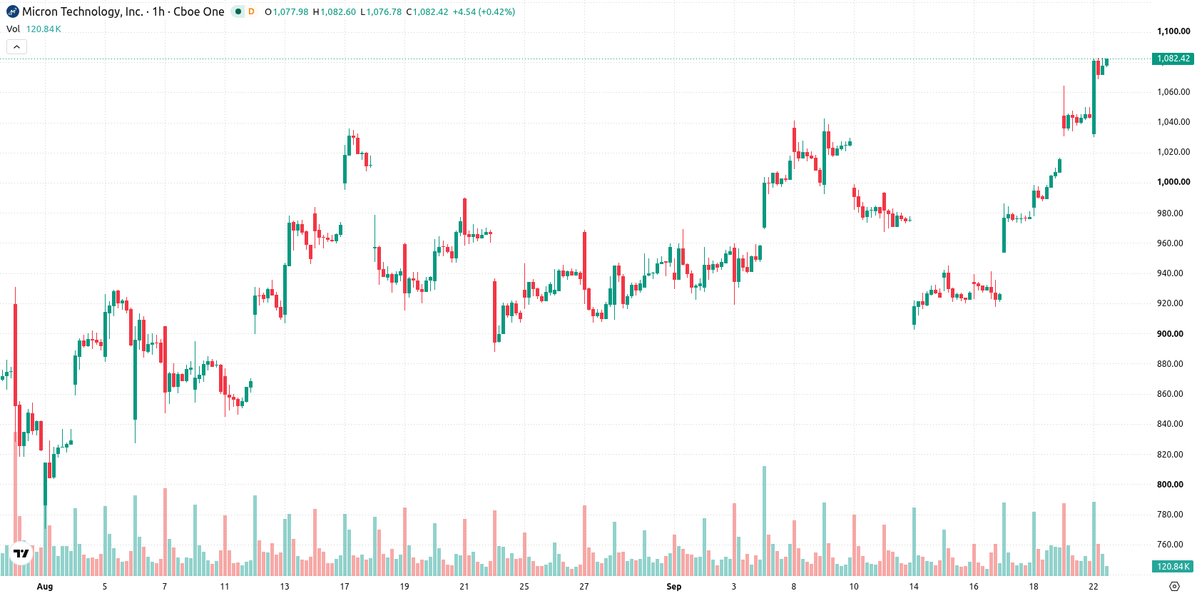 Micron Technology asset chart