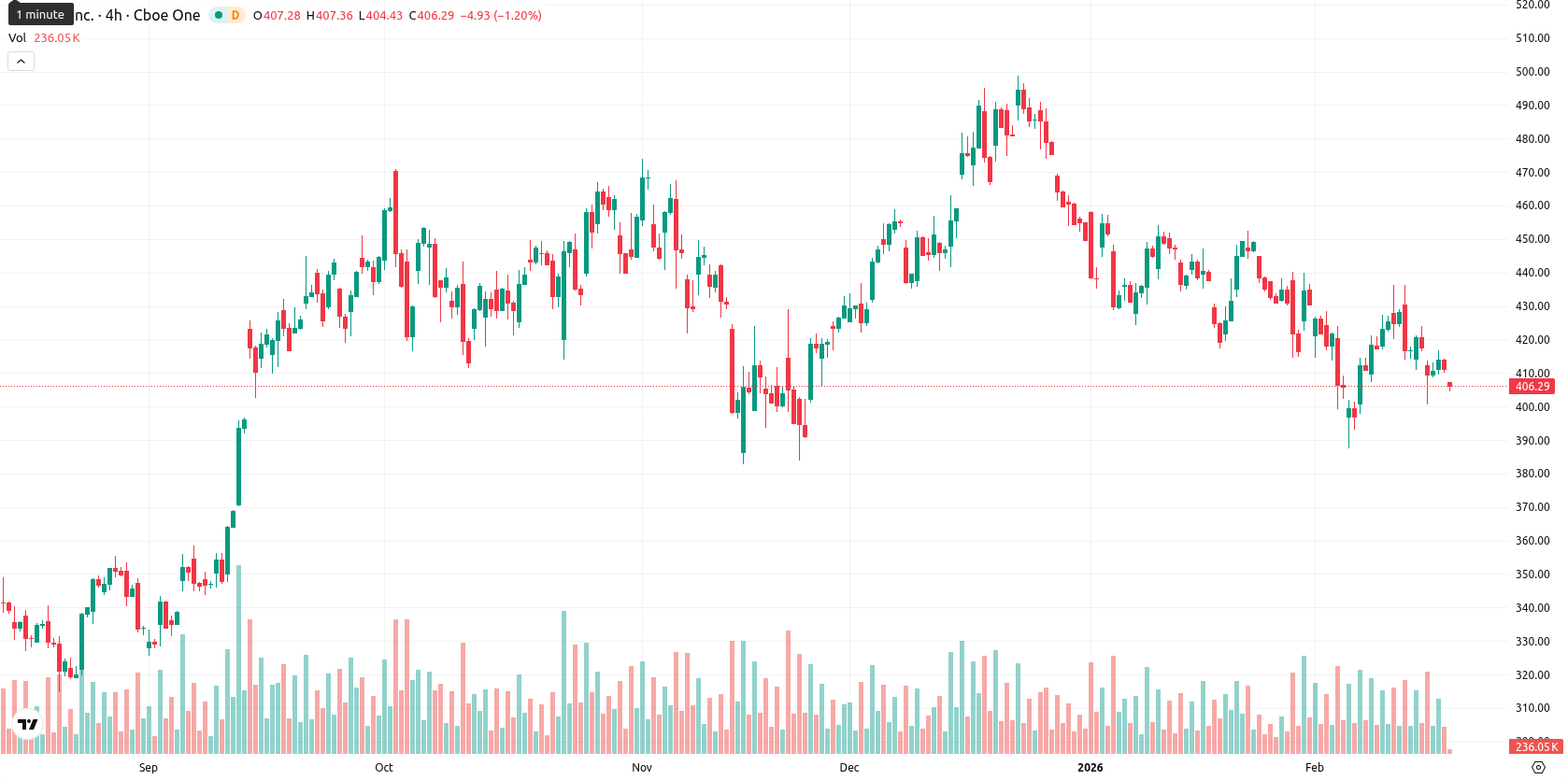 Tesla Inc. asset chart