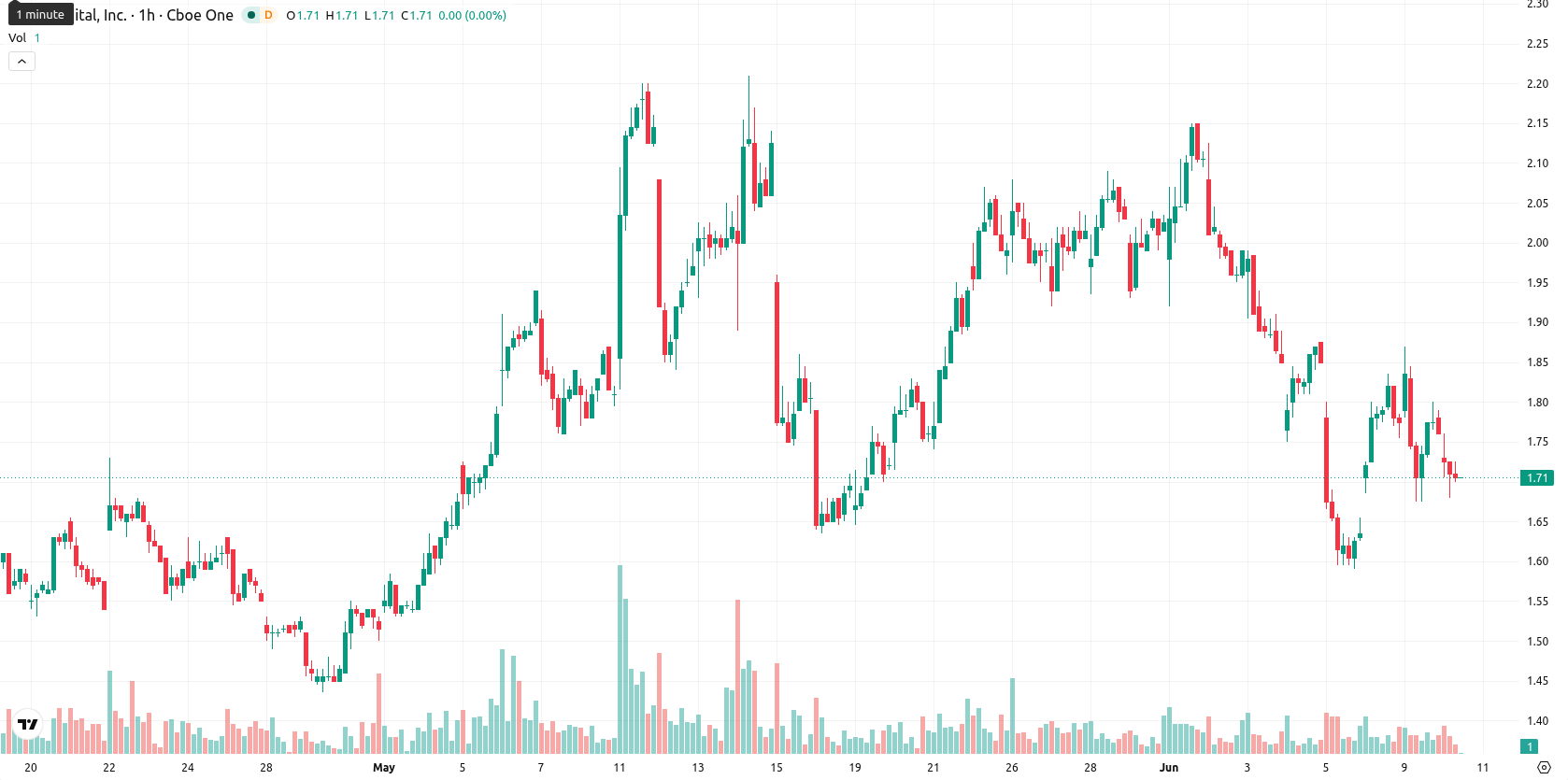 Bit Digital Inc. asset chart